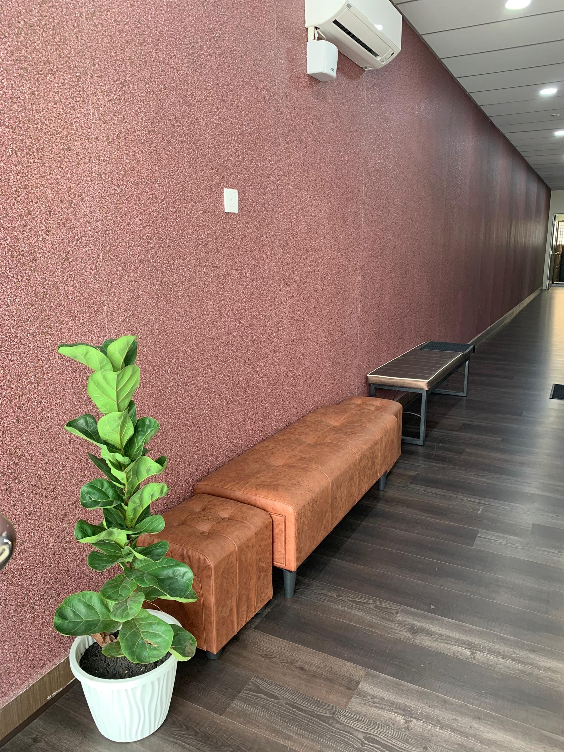 WhatsApp Image 2025-01-22 at 7.56.28 PM (3)